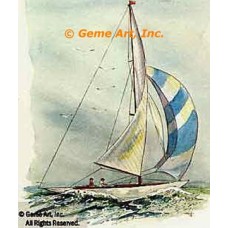 Sail Boat  - #TORT2004  -  PRINT