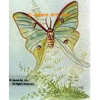 Butterfly  - #TOR2012  -  PRINT