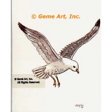 Seagull  - #TORT2018  -  PRINT