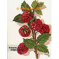 Raspberry Branch  - #TOR227  -  PRINT