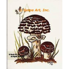 Mushrooms  - #TOR233-45  -  PRINT