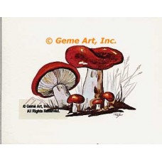 Mushrooms  - #TOR235-45  -  PRINT