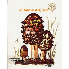 Mushrooms  - #TOR236-45  -  PRINT