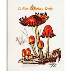 Mushrooms  - #TOR237-45  -  PRINT