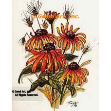 Black-Eyed Susan  - #TOR240  -  PRINT