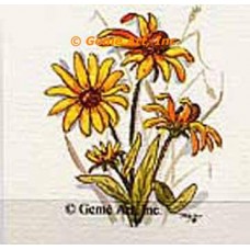 Daisies  - #TOR25  -  PRINT