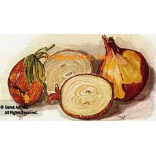 Onions  - #TOR255  -  PRINT