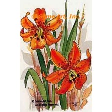 Tiger lilies  - #TOR2033  -  PRINT