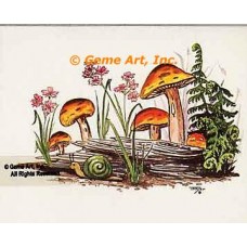 A Snail's Pace  - #TOR265  -  PRINT