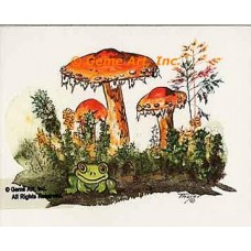 Happy Frog  - #TOR266  -  PRINT
