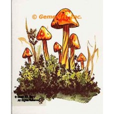 Mushrooms In Greens  - #TOR269  -  PRINT
