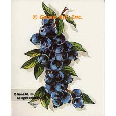 Blueberries  - #TOR272  -  PRINT