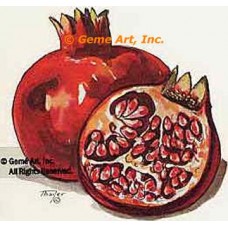 Pomegranate  - #TOR297  -  PRINT