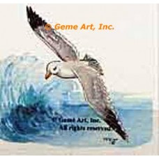 Seagull & Wave  - #TOR33  -  PRINT