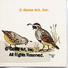 Quail  - #TOR35  -  PRINT