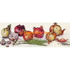 Onions  - #TOR624  -  PRINT