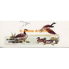 Geese & Ducks  - #TOR3518  -  PRINT