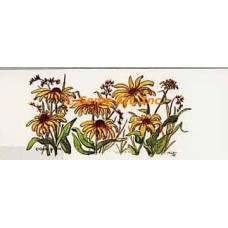 Daisy  - #TOR3520  -  PRINT