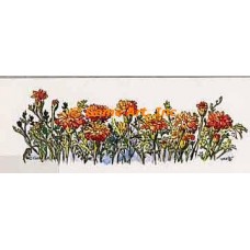 Marigolds  - #TOR3532  -  PRINT