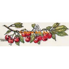Cherry Branch  - #TOR633  -  PRINT