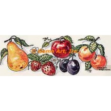 Fruit Assortment  - #TOR634  -  PRINT