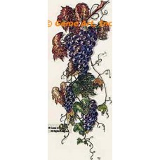 Grapes  - #TOR625  -  PRINT