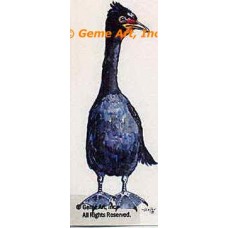Double Breasted Cormorant  - #TOR3549  -  PRINT