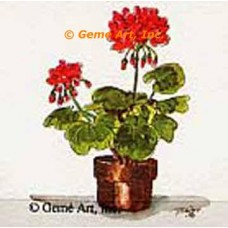 Geraniums  - #TOR37  -  PRINT