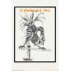 Rooster On Fence  - #TOR371  -  PRINT