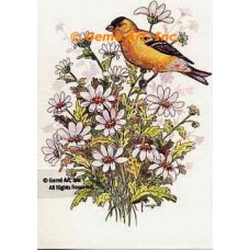 Bird & Daisies  - #TOR981  -  PRINT