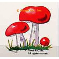Mushroom  - #TOR47  -  PRINT