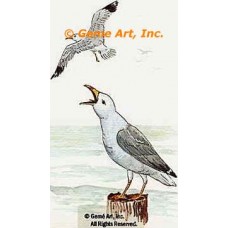 Seagulls  - #TOR837  -  PRINT