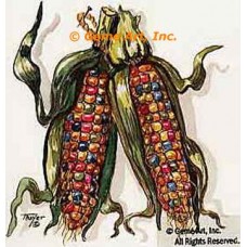 Indian Corn  - #TOR2028  -  PRINT