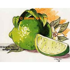 Lime  - #TOR245  -  PRINT