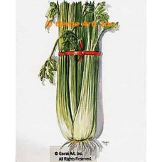 Celery  - #TOR254  -  PRINT