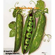 Peas  - #TOR220  -  PRINT