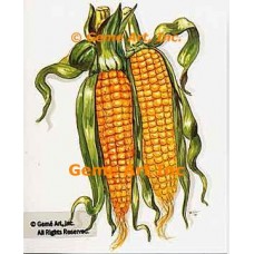 252K  Paper Tole Kit  4x5