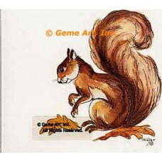 Squirrel  - #TOR2036  -  PRINT