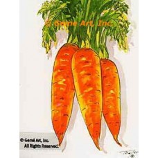 Carrots  - #TOR226  -  PRINT