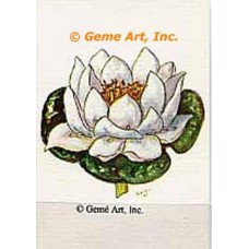Water Lily  - #TOR65  -  PRINT