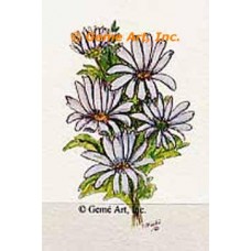 Daisies  - #TOR67  -  PRINT
