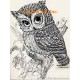 Owl  - #TOR794  -  PRINT
