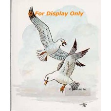 Seagulls  - #TOR836  -  PRINT