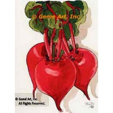 Beets  - #TOR2029  -  PRINT