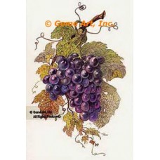 Grapes  - #TOR992  -  PRINT