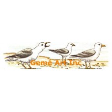 Seagulls  - #TOR1001  -  PRINT
