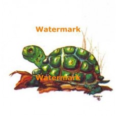 Turtle  - #TOR19  -  PRINT