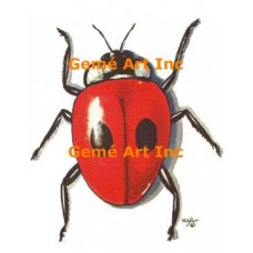 Lady Bug  - #TOR200  -  PRINT