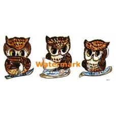 Getting Ready  - #TOR3544  -  PRINT