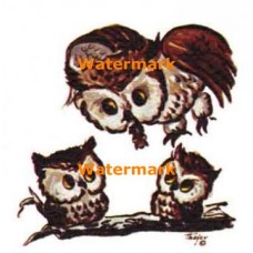 Owls  - #TOR571  -  PRINT